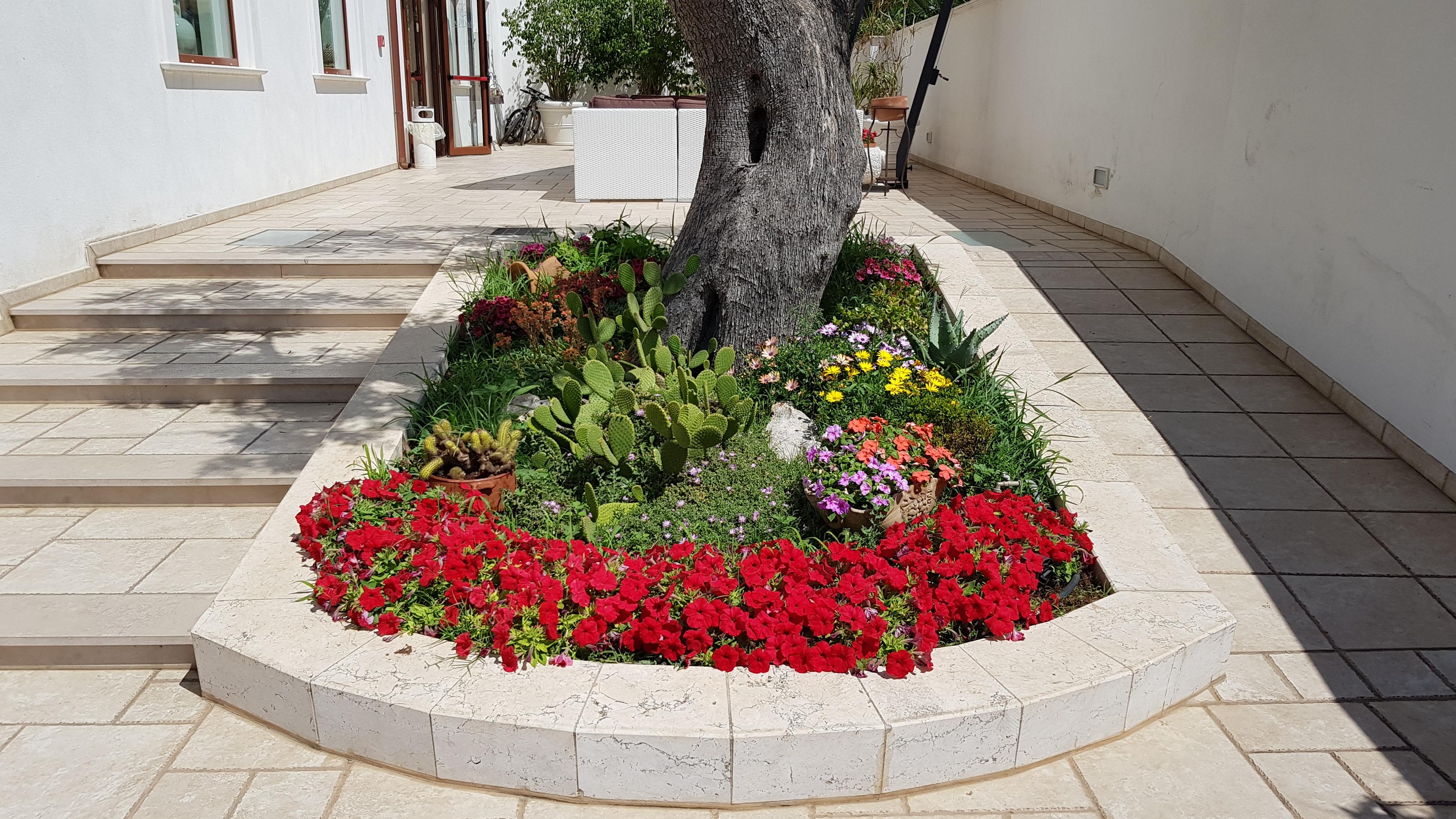 Hotel Victoria Torre Santa Sabina Exteriér fotografie
