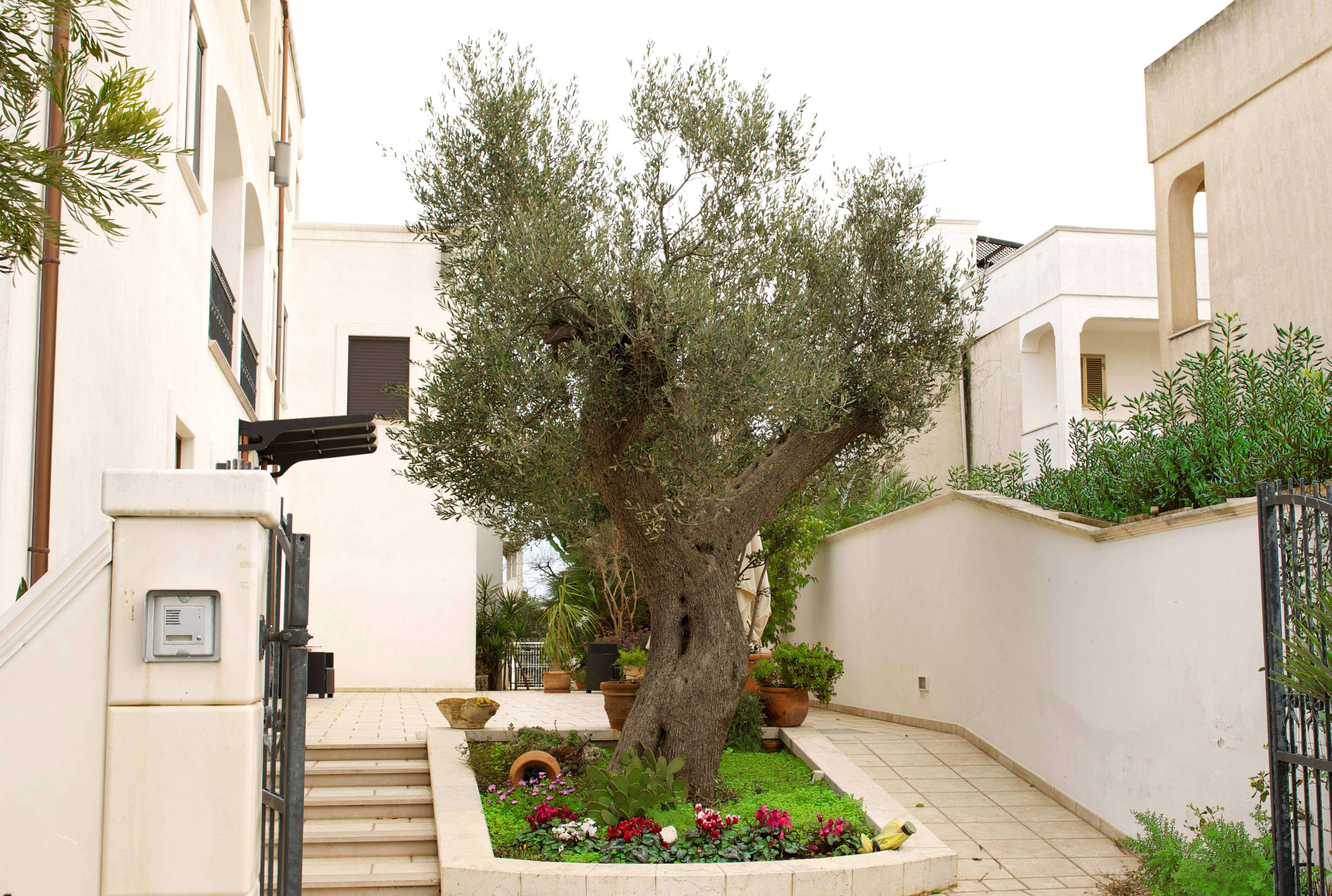Hotel Victoria Torre Santa Sabina Exteriér fotografie